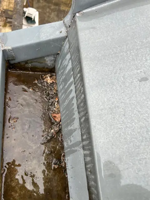 Fond de chéneau en zinc rempli de boue noire et d'eau stagnante avant curage
